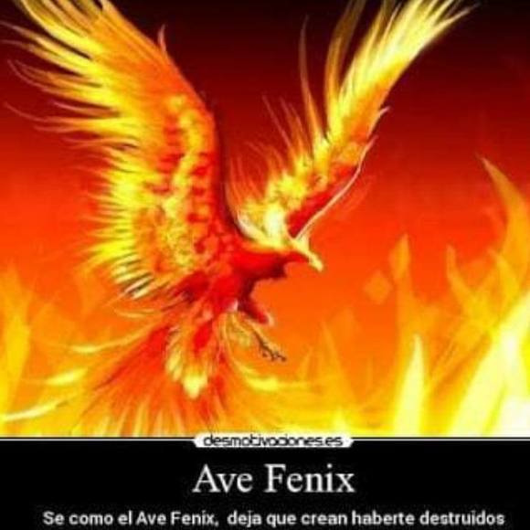 jose_iturbe